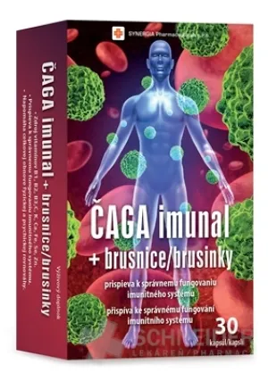 ČAGA imunal + brusnice