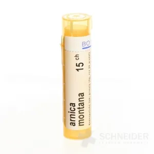 ARNICA MONTANA