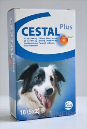 CESTAL PLUS flavour 50 mg/144 mg/200 mg