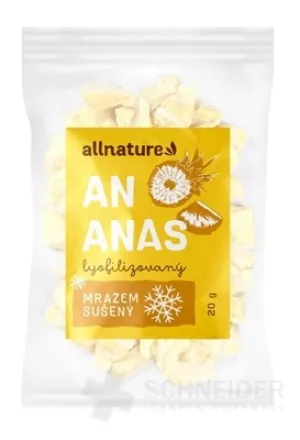 Allnature ANANÁS MRAZOM SUŠENÝ