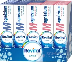 Revital Magnézium + B6 šumivý MIX BOX