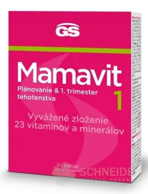 GS Mamavit 1, Plánovanie a 1. trimester