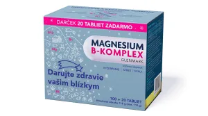 MAGNESIUM B-KOMPLEX 100+20 TBL ZADARMO (Vianočné balenie)