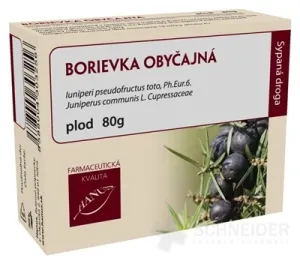 HANUS BORIEVKA OBYČAJNÁ PLOD