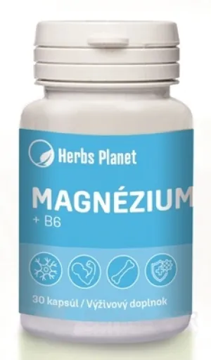 Herbs Planet MAGNÉZIUM + B6