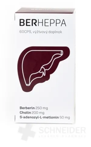BERHEPPA