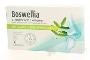 BOSWELLIA s chondroitínom a kolagénom