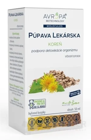 AVROPA PÚPAVA LEKÁRSKA koreň