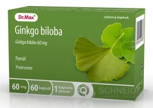 Dr.Max Ginkgo biloba 60 mg