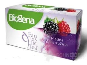 Biogena Fantastic Tea Malina & Ostružina