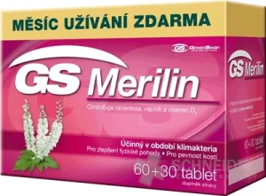 GS Merilin