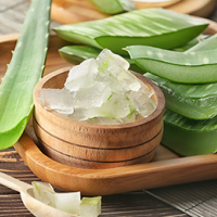 Aloe Vera – zázrak z prírody