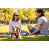 CURLI Postroj pre psov so sponou Air-Mesh Red M, 6-9 kg