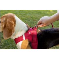 CURLI Postroj pre psov so sponou Air-Mesh Red M, 6-9 kg