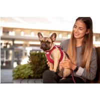 CURLI Postroj pre psov so sponou Air-Mesh Ruby XS, 3-5 kg