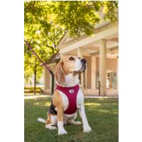 CURLI Postroj pre psov so sponou Air-Mesh Ruby XS, 3-5 kg