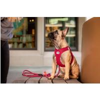 CURLI Postroj pre psov so sponou Air-Mesh Ruby XS, 3-5 kg