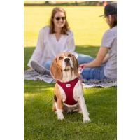 CURLI Postroj pre psov so sponou Air-Mesh Fuchsia M, 6-9 kg