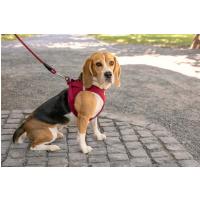 CURLI Postroj pre psov so sponou Air-Mesh Fuchsia M, 6-9 kg