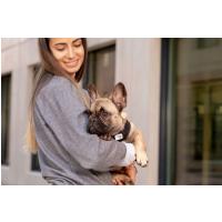 CURLI Postroj pre psov so sponou Air-Mesh Skyblue XS, 3-5 kg