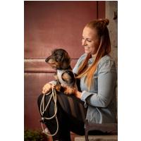 CURLI Postroj pre psov so sponou Air-Mesh Skyblue S, 4-7 kg