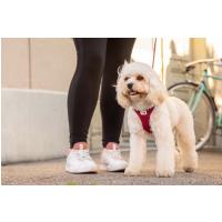 CURLI Postroj pre psov so sponou Air-Mesh Light Tan L, 8-13 kg