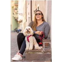 CURLI Postroj pre psov so sponou Air-Mesh Light Tan L, 8-13 kg