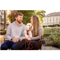 CURLI Postroj pre psov so sponou Air-Mesh Light Tan L, 8-13 kg