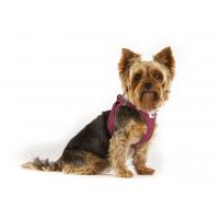 CURLI Postroj pre psov so sponou Air-Mesh Black 2XS,  2-4 kg