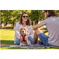 CURLI Postroj pre psov so sponou Air-Mesh Black M, 6-9 kg