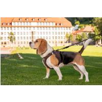 CURLI Postroj pre psov so sponou Air-Mesh Black M, 6-9 kg