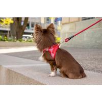 CURLI Postroj pre psov so sponou Merino vlna Red 3XS, 1,5-3 kg