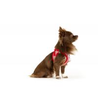 CURLI Postroj pre psov so sponou Merino vlna Red 2XS, 2-4 kg