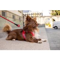 CURLI Postroj pre psov so sponou Merino vlna Red 2XS, 2-4 kg