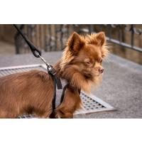 CURLI Postroj pre psov so sponou Merino vlna Red 2XS, 2-4 kg