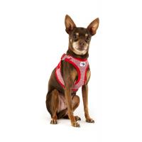 CURLI Postroj pre psov so sponou Merino vlna Red XS, 3-5 kg