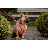 CURLI Postroj pre psov so sponou Merino vlna Red XL, 12-18 kg