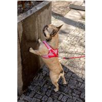 CURLI Postroj pre psov so sponou Merino vlna Red XL, 12-18 kg