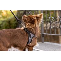 CURLI Postroj pre psov so sponou Merino vlna Black XS, 3-5 kg