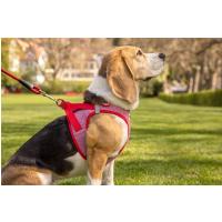 CURLI Postroj pre psov so sponou Merino vlna Black M, 6-9 kg
