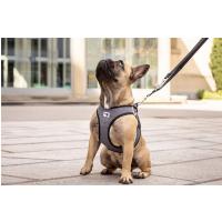 CURLI Postroj pre psov so sponou Merino vlna Black XL, 12-18 kg