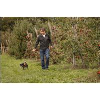 CURLI Postroj pre psov z jablčnej kože Black XS, 3-5 kg