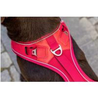 CURLI Postroj pre psov Belka Red M, 20-30 kg