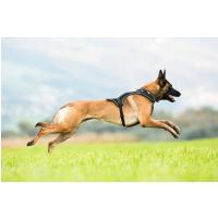 CURLI Postroj pre psov Belka Black XL , 30-45 kg