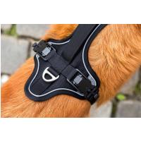 CURLI Postroj pre psov s magnetom Belka Comfort Black XL, 30-45 kg