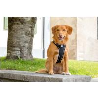 CURLI Postroj pre psov s magnetom Belka Comfort Black XL, 30-45 kg