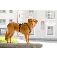 CURLI Postroj pre psov s magnetom Belka Comfort Black XL, 30-45 kg