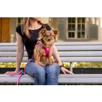 CURLI Vodítko pre psov Comfort Pink L