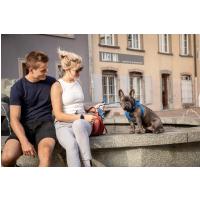 CURLI Vodítko pre psov Comfort Blue M