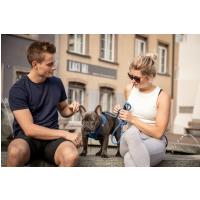 CURLI Vodítko pre psov Comfort Blue L